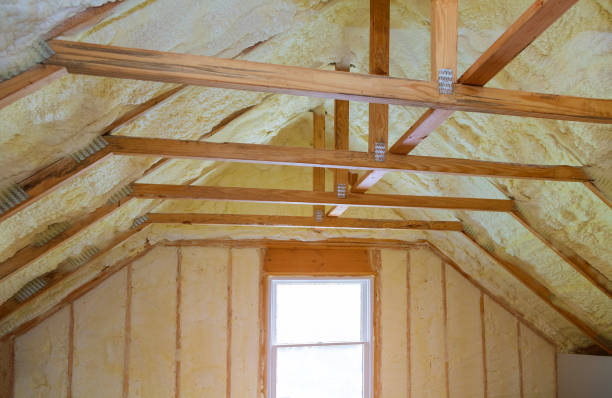 Best Specialized Insulation Services in Mccormick, SC