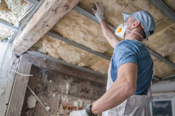 Best DIY Insulation Kits and Guidance in Mccormick, SC