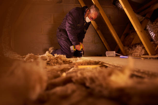 Best Cellulose Insulation in Mccormick, SC
